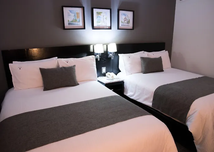 Hotel Laila Cdmx Reforma México DF