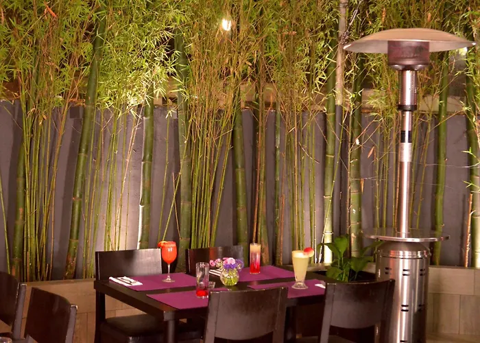 Hotel Laila Cdmx Reforma