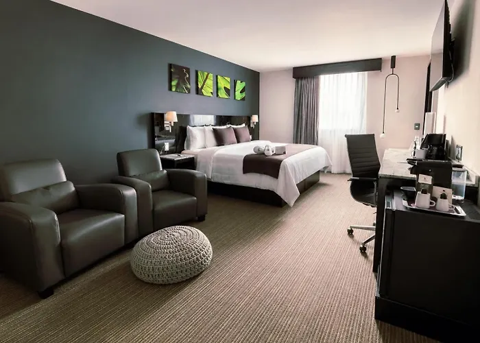 Hotel Laila Cdmx Reforma 4*