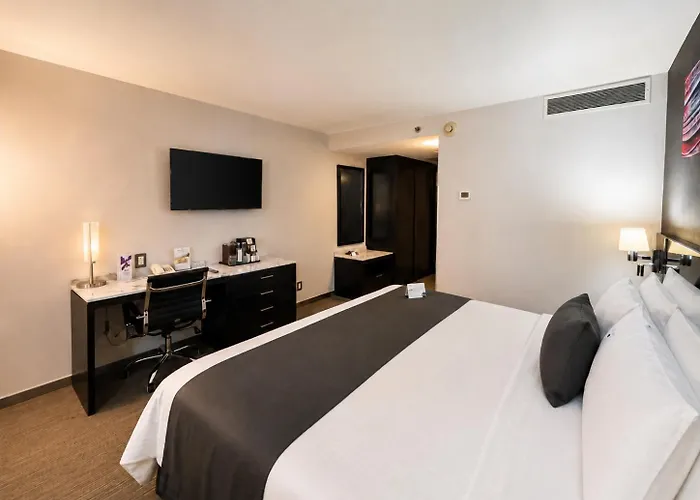 Laila Cdmx Reforma Hotel