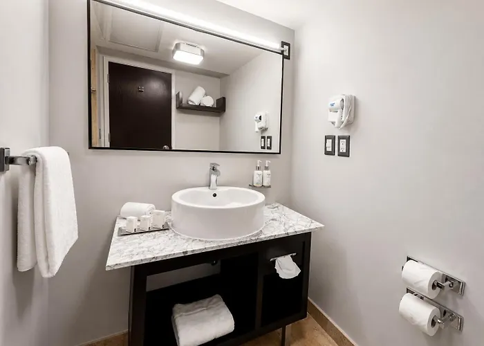 Hotel Laila Cdmx Reforma 4*