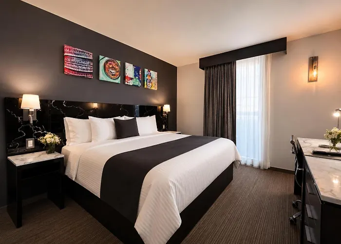 Hotel Laila Cdmx Reforma 4*