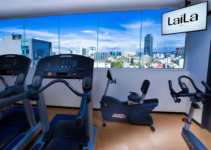 Hotel Laila Cdmx Reforma